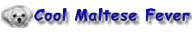 Cool Maltese Fever