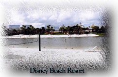 Disney Beach