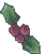 Holly