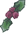 Holly