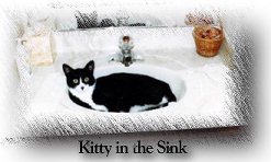 Kitty in Sink