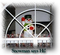 Snowman Says Hi