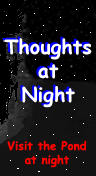 Thoughts at Night